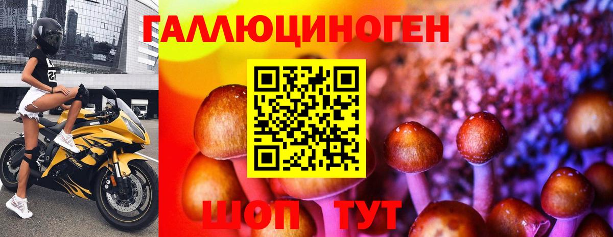 Галлюциногенные грибы GOLDEN TEACHER  Вход с VPN  Галлюциногенные грибы GOLDEN TEACHER  Бахчисарай 